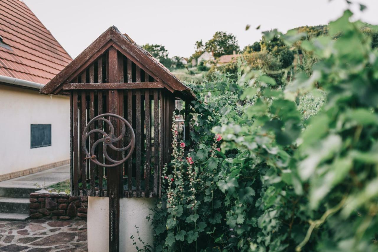 Szent Gyoergy Cottage Hegymagas エクステリア 写真