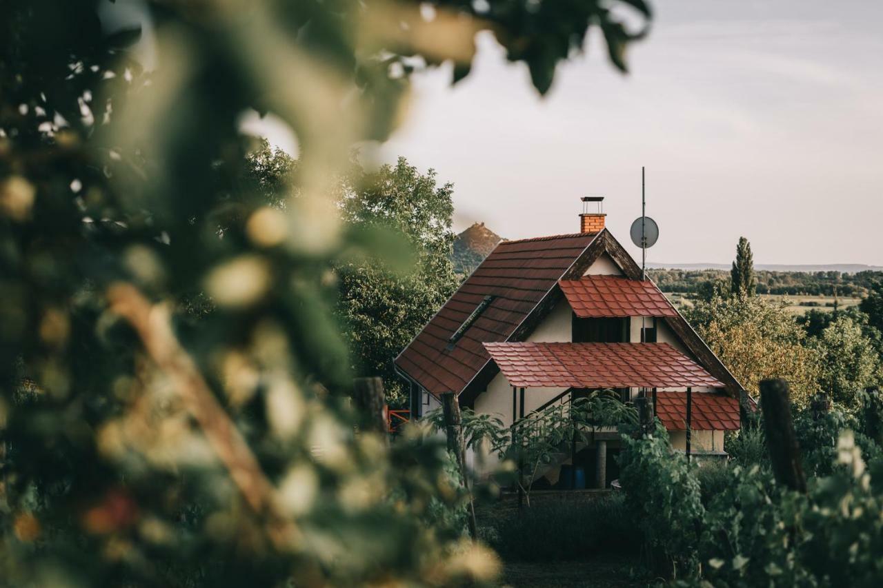 Szent Gyoergy Cottage Hegymagas エクステリア 写真